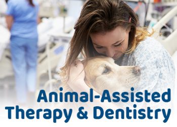 Saxonburg dentist, Dr. Sepich at Saxonburg Dental Care discusses pros and cons of animal-assisted therapy (AAT) in the dental office.