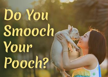 Saxonburg dentist, Dr. Roger M. Sepich at Saxonburg Dental Care, discusses bad bacteria that can be passed on by dog kisses. Don’t smooch your pooch!