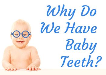 Saxonburg dentist, Dr. Roger M. Sepich at Saxonburg Dental Care, discusses the reasons why we have baby teeth and the importance of caring for them with pediatric dentistry.
